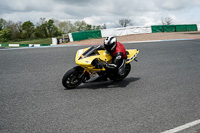 Lower Group Yellow Bikes